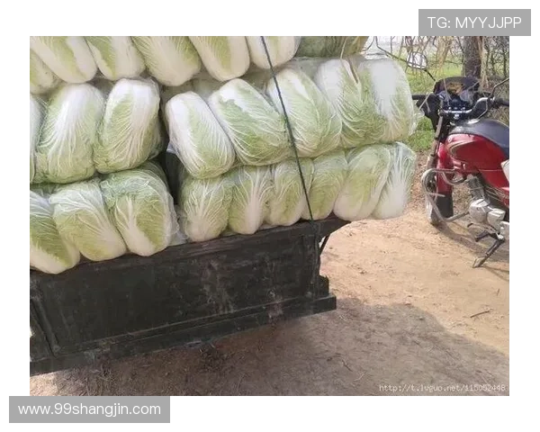 2025年最新白菜网平台排行榜及推荐分析